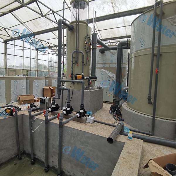 הערכה על בריאות הדגים