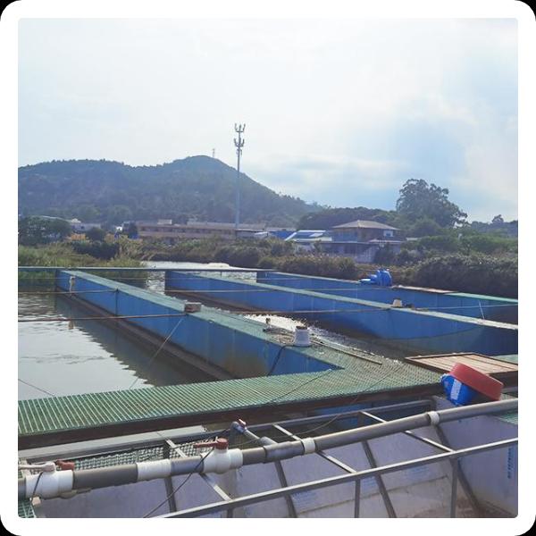 हमारे शीर्ष-दर्जे के समाधानों के साथ आरएएस उद्योग में सफलता प्राप्त करें