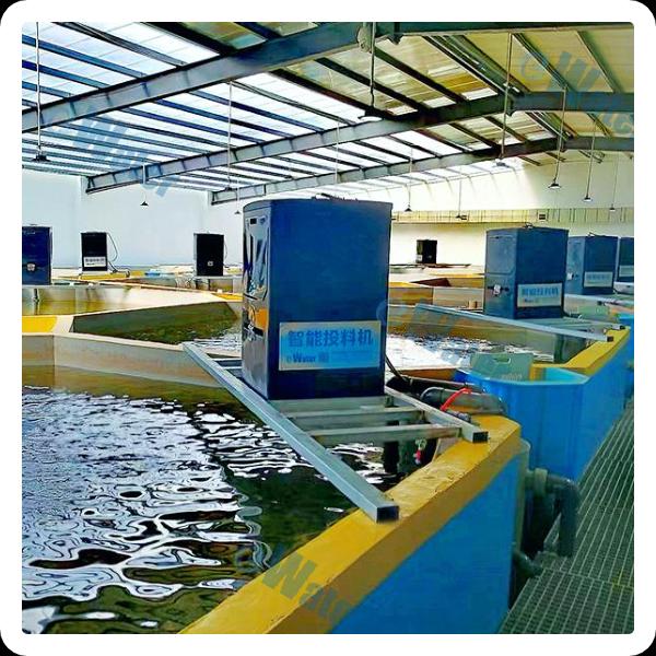 The importance of quality equipment in indoor fish farming operations