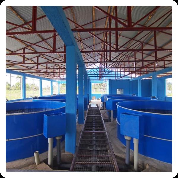 सुरक्षा पहले!