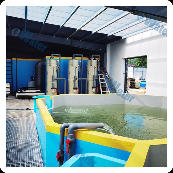 חקר הפוטנציאל של חקלאות מים RAS