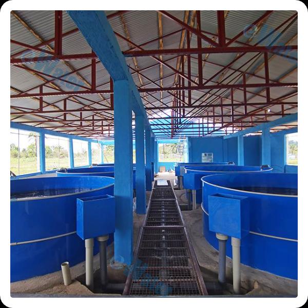 रीसर्कुलेटिंग एक्वाकल्चर सिस्टम के फायदे