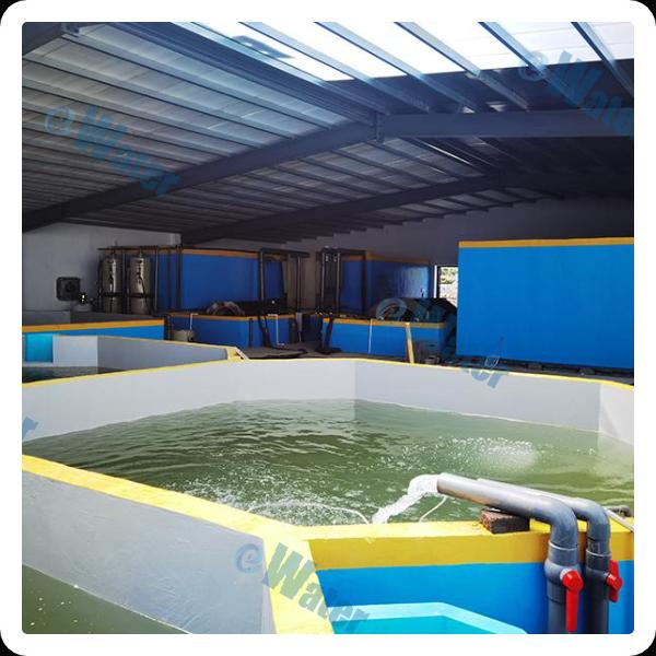 איך להשתמש במערכת גידול RAS