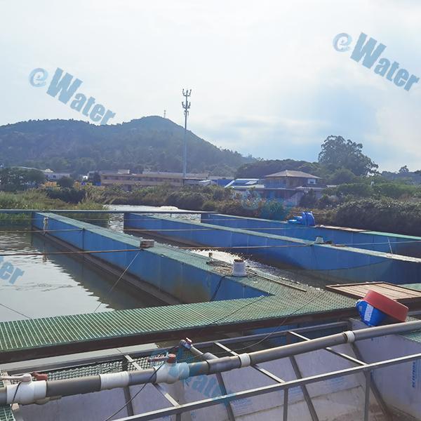 अपनी थोक आवश्यकताओं के लिए आरएएस उत्कृष्टता का चयन करें