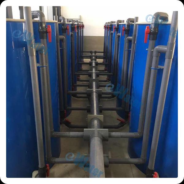 עתיד מבטיח לחיים מימדיים באמצעות פילטרציה ביולוגית