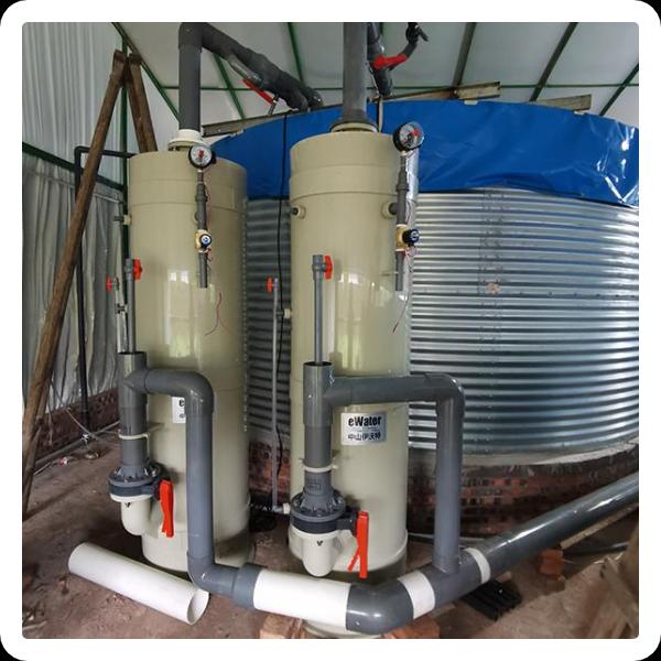 החדשנות בלתי נתמכת של מוטוסת ה-Ras