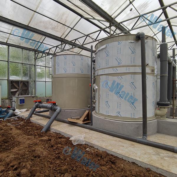 रीसर्कुलेटिंग एक्वाकल्चर सिस्टम कैसे मछली पालन में अपशिष्ट कम कर रहे हैं