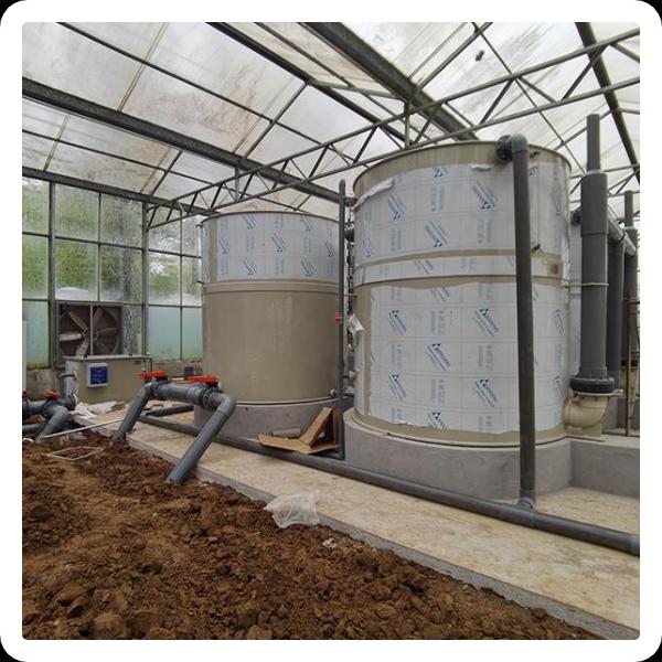 रीसर्कुलेटिंग मछली खेतों का अन्वेषण