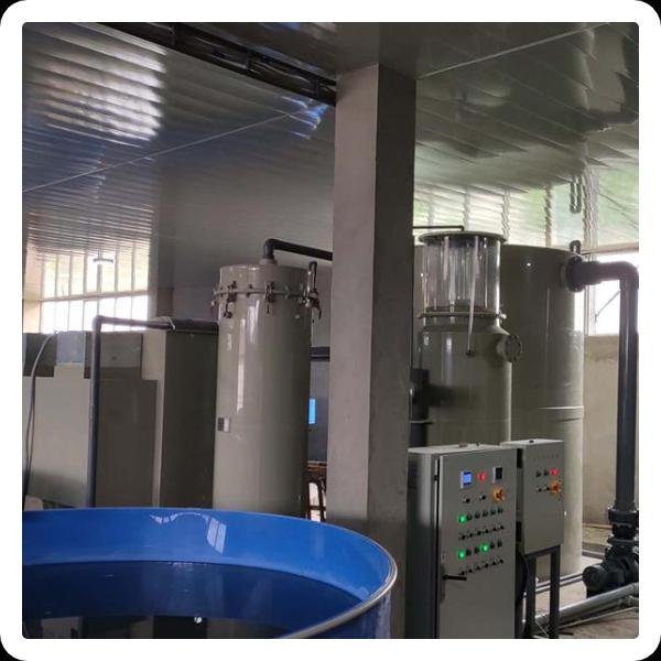 मछली खेती के लिए एयरेटर का सही उपयोग करने का पूर्ण गाइड