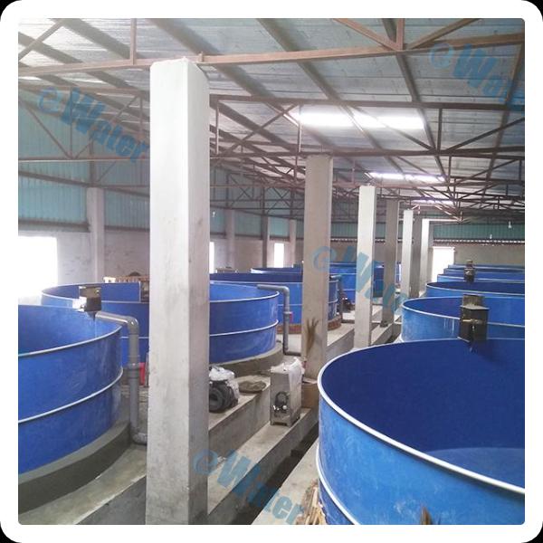 अपने उत्पाद चयन और प्रतिस्पर्धी मूल्य निर्धारण के लिए अतुलनीय अनुभव प्राप्त करें