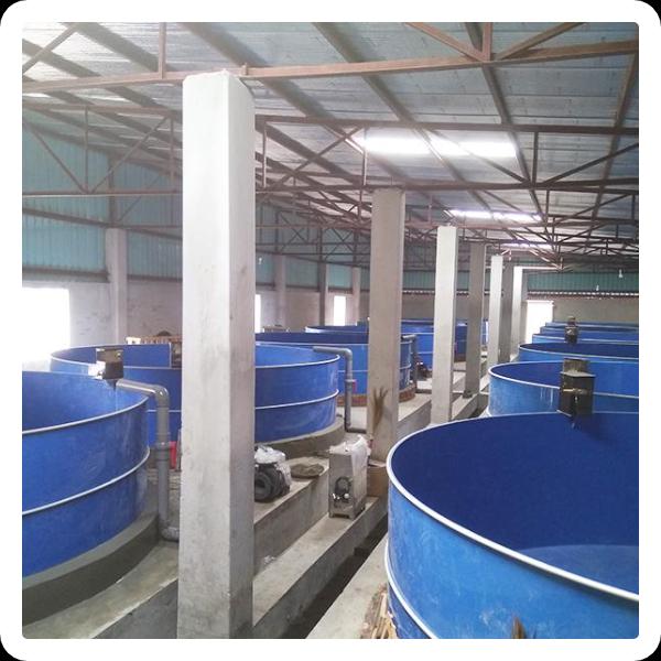 RAS का उपयोग करने के लिए दिशानिर्देश