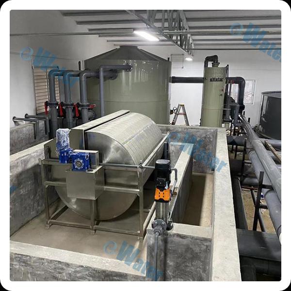 निष्कर्ष में