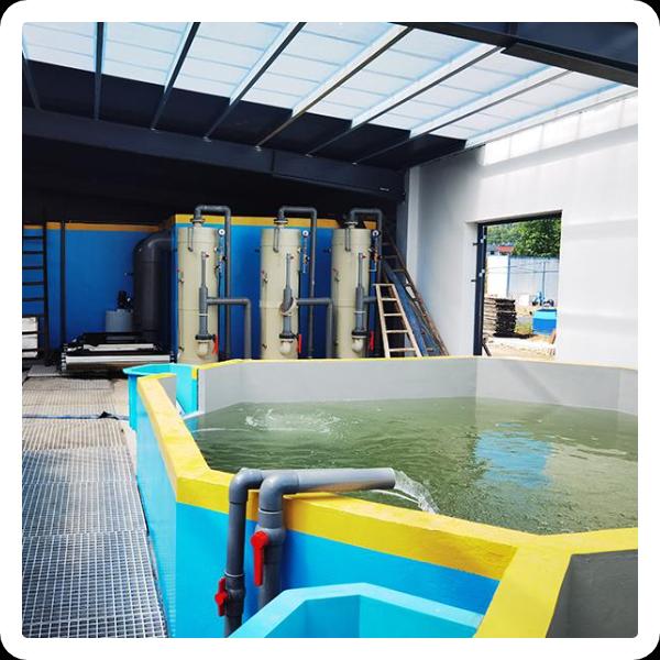 איך חקלאות RAS מהפכת את תעשיית החקלאות המים