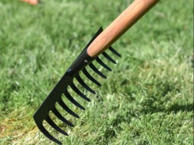 Maximum Yield: Optimizing Growth with an Iron Rake