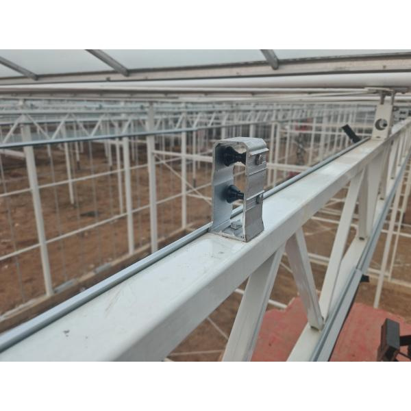 Die kundigheid van plaaslike groentehuisbouers