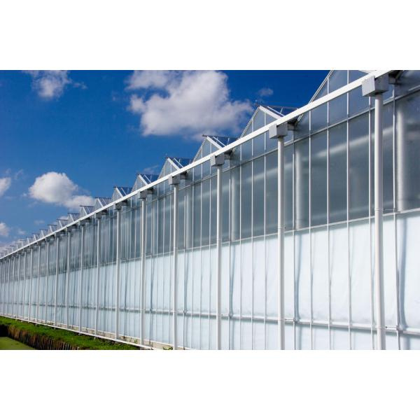 הגלגלים האלה בגודל 28 מ