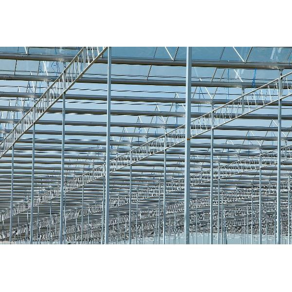 메탈 프레임 그린하우스의 외관을 잘 유지하기 위한 조언