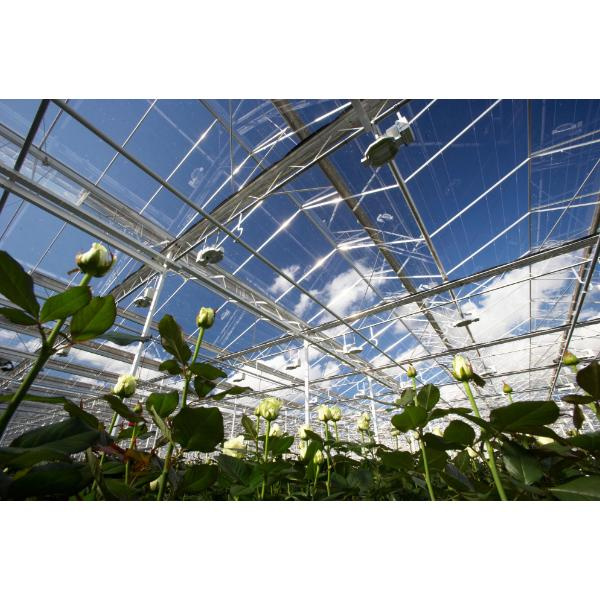 गैल्वेनाइज़ेड फ्रेम आपकी ग्रीनहाउस की प्रदर्शन को कैसे बढ़ा सकता है