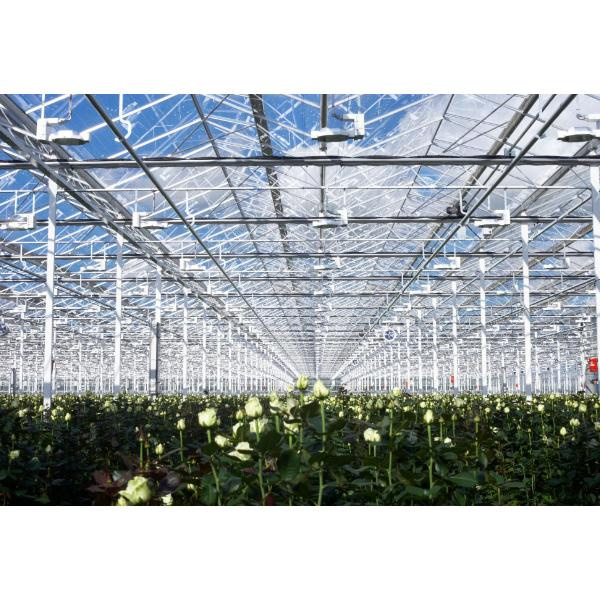 Troba el quadre de llagosta metàl·lica perfecte per a les teves necessitats d'horticultura