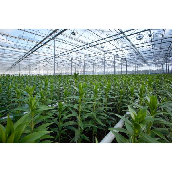 작은 금속 프레임 온실