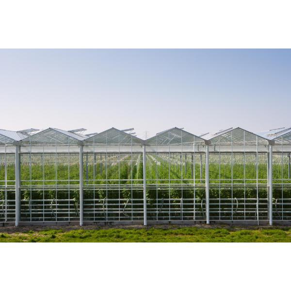 حل سهل لتثبيت اللوحات في بيتكم الزجاجي