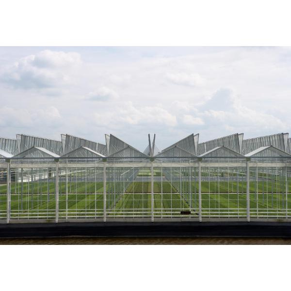 ودّع الصدأ مع مكابس غير قابلة للصدأ