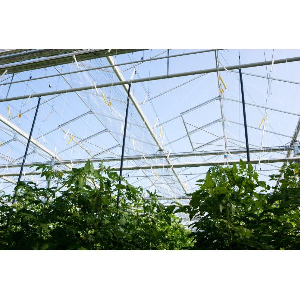 Utilizando unha casa de sombra de marco de aco para obter éxito no xardín durante todo o ano