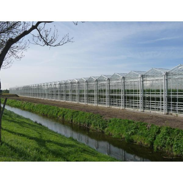 Xardinería sustentable feita fácil coa axuda dun conector de bajantes para invernadeiros