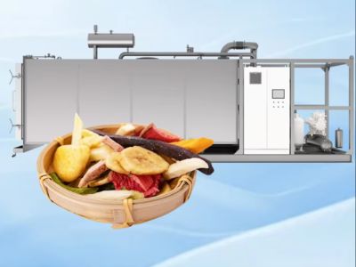 Selecting a Freeze Drying Equipment Manufacturer with Comprehensive Support
