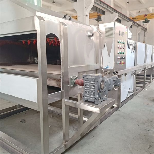 Ტუნელის პასტერიზატორის გამოყენების მონაწილეობა სასმელი პროდუქციის შემუშავებაში