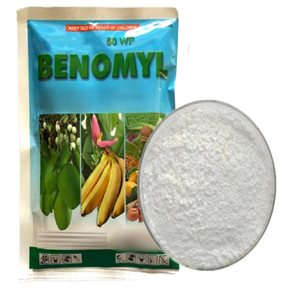 4) תבנית קלה לשימוש לתוצאות אמינות