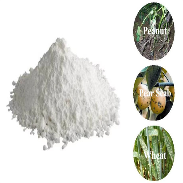 5) מותג מהימן לחקלאות ברת-קיימא