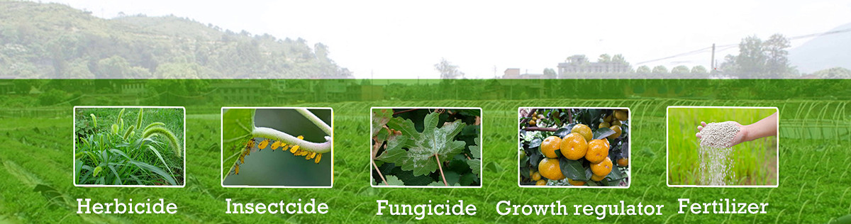 Herbicide Oxyfluorfen 24 ec oxyfluorfen herbicide 480g/L SC 6% EW 30%EW supplier