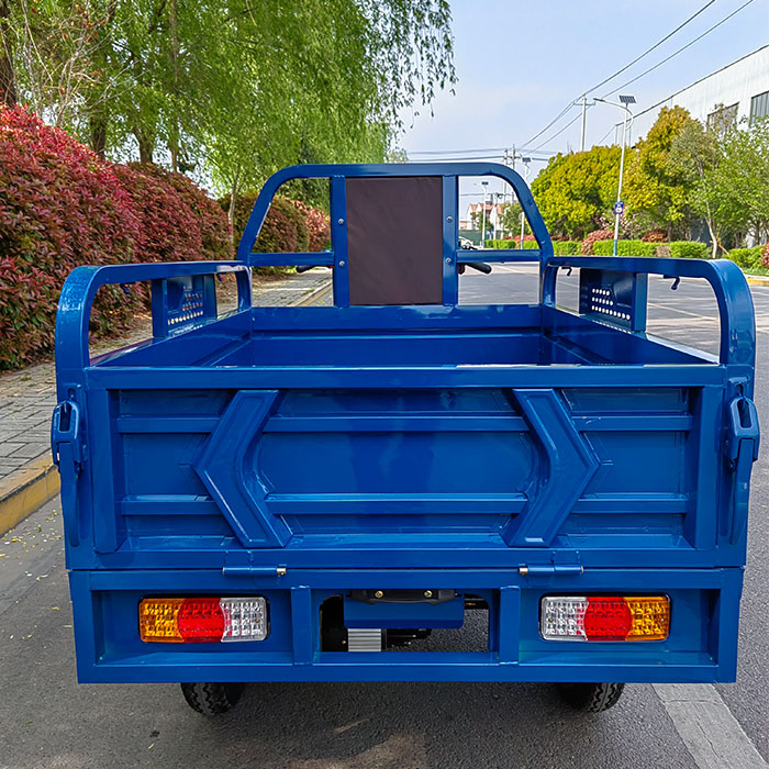 Descobreix les últimes característiques i innovacions en tricicletes elèctriques que les fan destacar