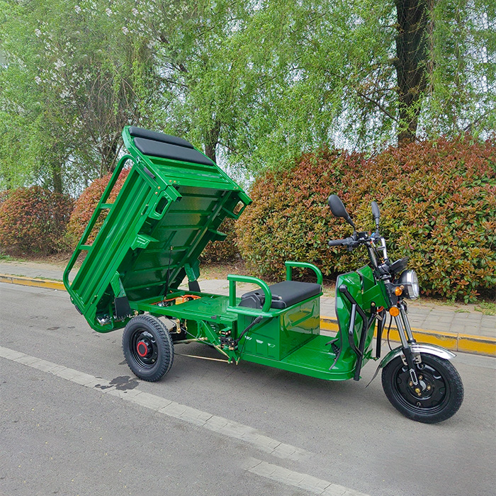 Priekšrocības, braukot ar elektrisko tri<tool_call> ar drošu pasažieru sedvielu