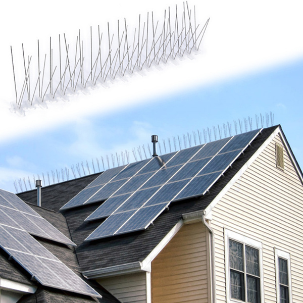 ราคาขายส่งที่ดีที่สุดสำหรับเข็มขับไล่นก เพื่อช่วยให้คุณประหยัดเงิน