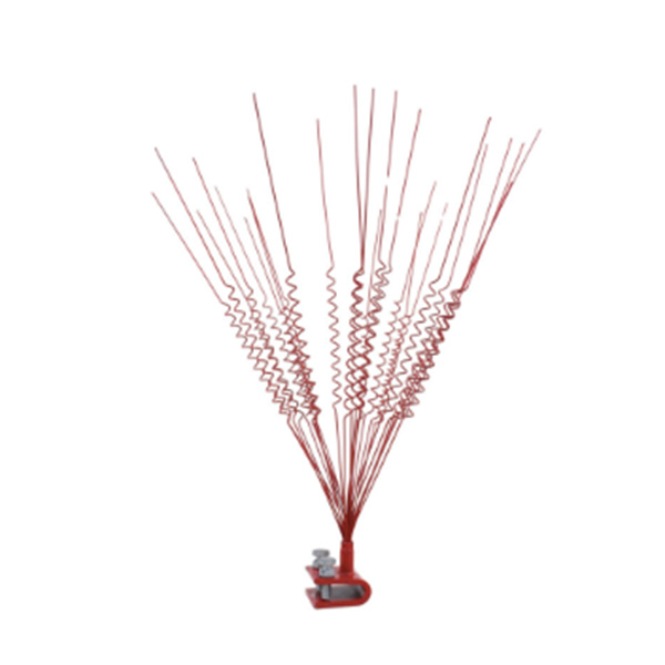 Betroubare oplossing om voëlskade aan u eiendom te voorkom