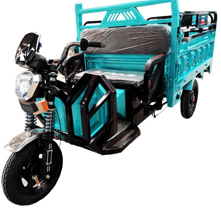 60V 1000W 3 Rrota Elektrike Trikes Cargo Per Dorëzim