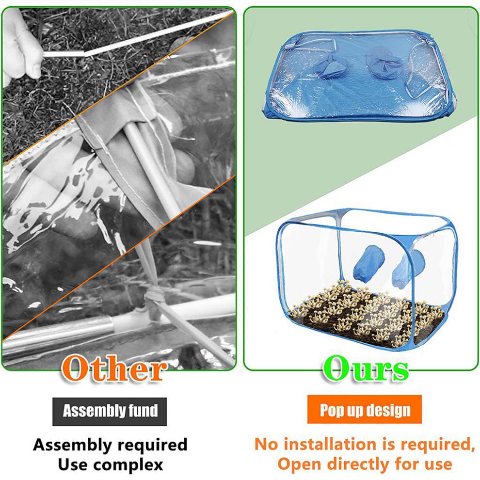 Mycology Supplies Garden Greenhouses Portable Foldable Pvc Still Air Box Cultivation Tent Kit Easily Pop up Mushroom Growth Tent manufacture