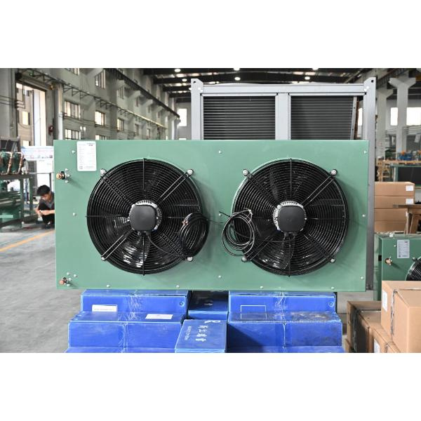 Фоидагии сулҳ дар сарнавиштани дар маҳдудиятҳои сабзинҳои одаи тир