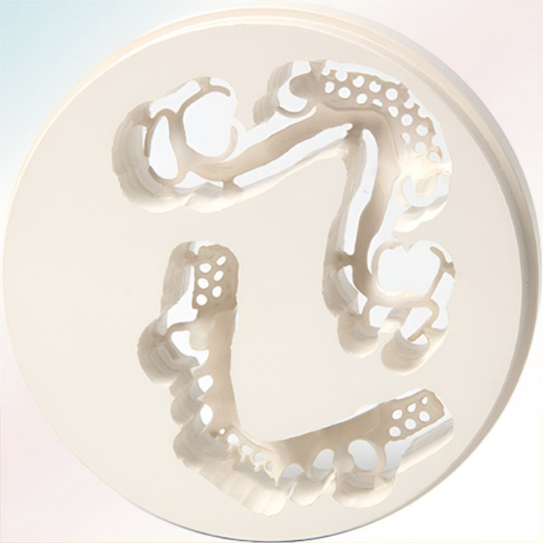 خرید عمده ماده دندانپزشکی PEEK با کیفیت بالا از کجا امکان‌پذیر است؟