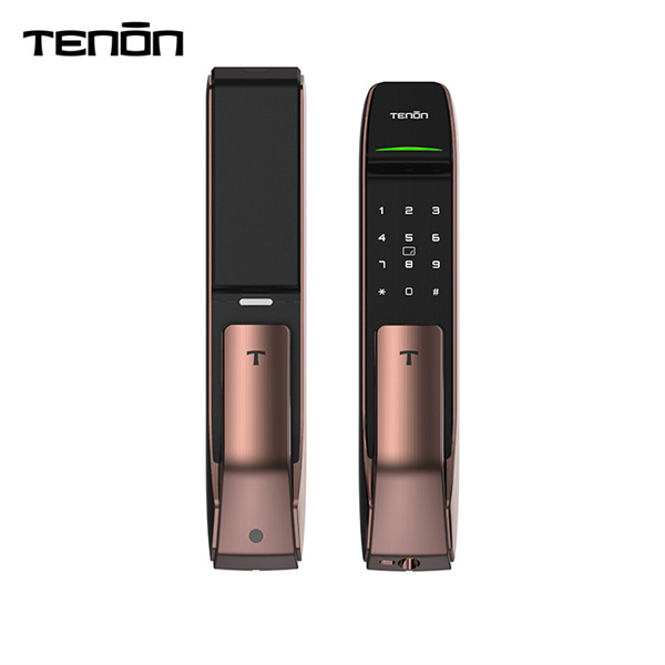 Adoptez l'avenir avec les verrous de porte automatiques