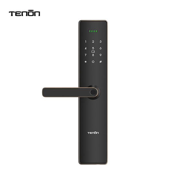 Actualitza avui mateix la seguretat de la teva llar amb panyos amb reconeixement d'empremta digital