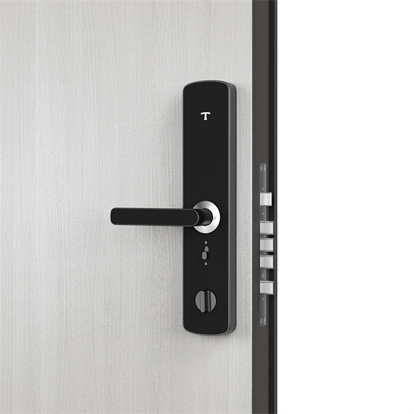 I zgjuar dhe i stilizuar hyrja pa çelës për derën tuaj