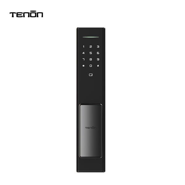 Liugustava ukse targa lukuga kaasaegne ja elegantne disain