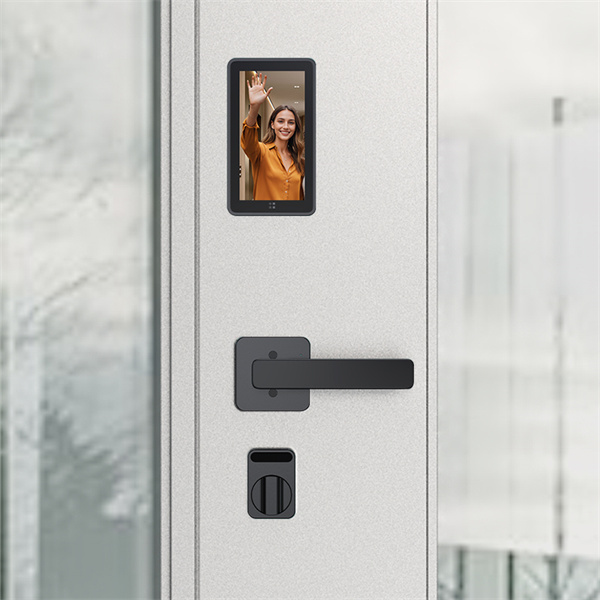 Zaščitite svoje bližnje s stilnimi aluminijastimi varnostnimi vratih