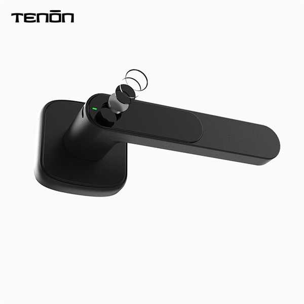 Kaitse oma kodu või ettevõtmist koos biomeetriliste uksemekkide lahendustega