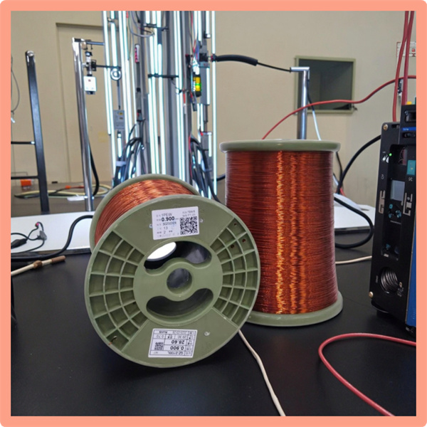 Inkholo ephelele yomkhankaso womsizi nesekela konke okudingayo ngokusebenza kweziliva