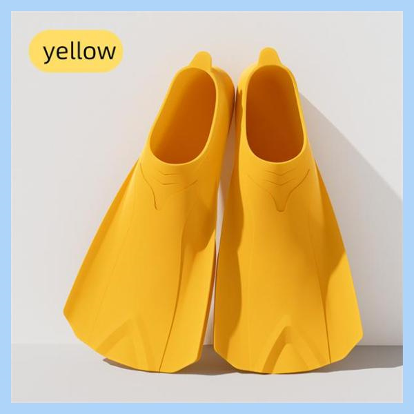 Experience the Beauty of Marine Life with a Top-Quality Snorkel and Fins Se