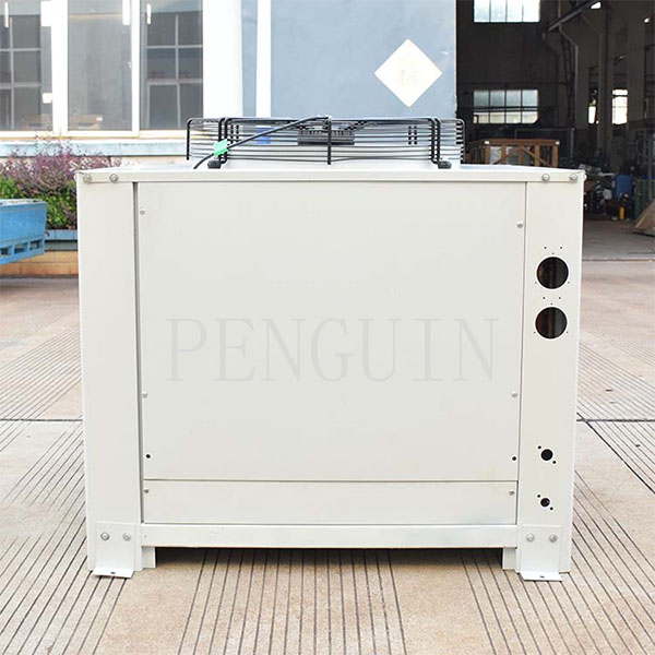 Tips untuk menyelesaikan masalah biasa dengan kondenser bilik sejuk dan bila perlu memanggil bantuan profesional